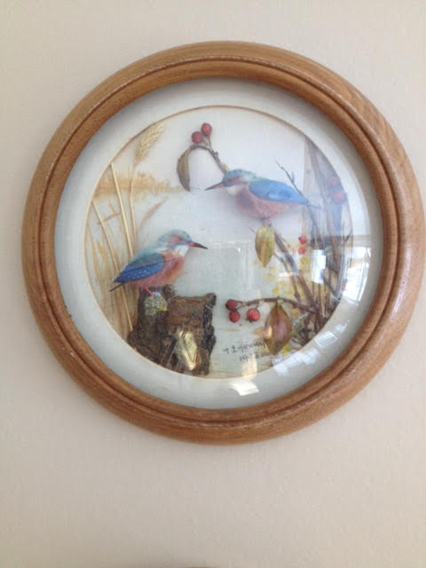 Kingfishers (Version 3) (5-inch)